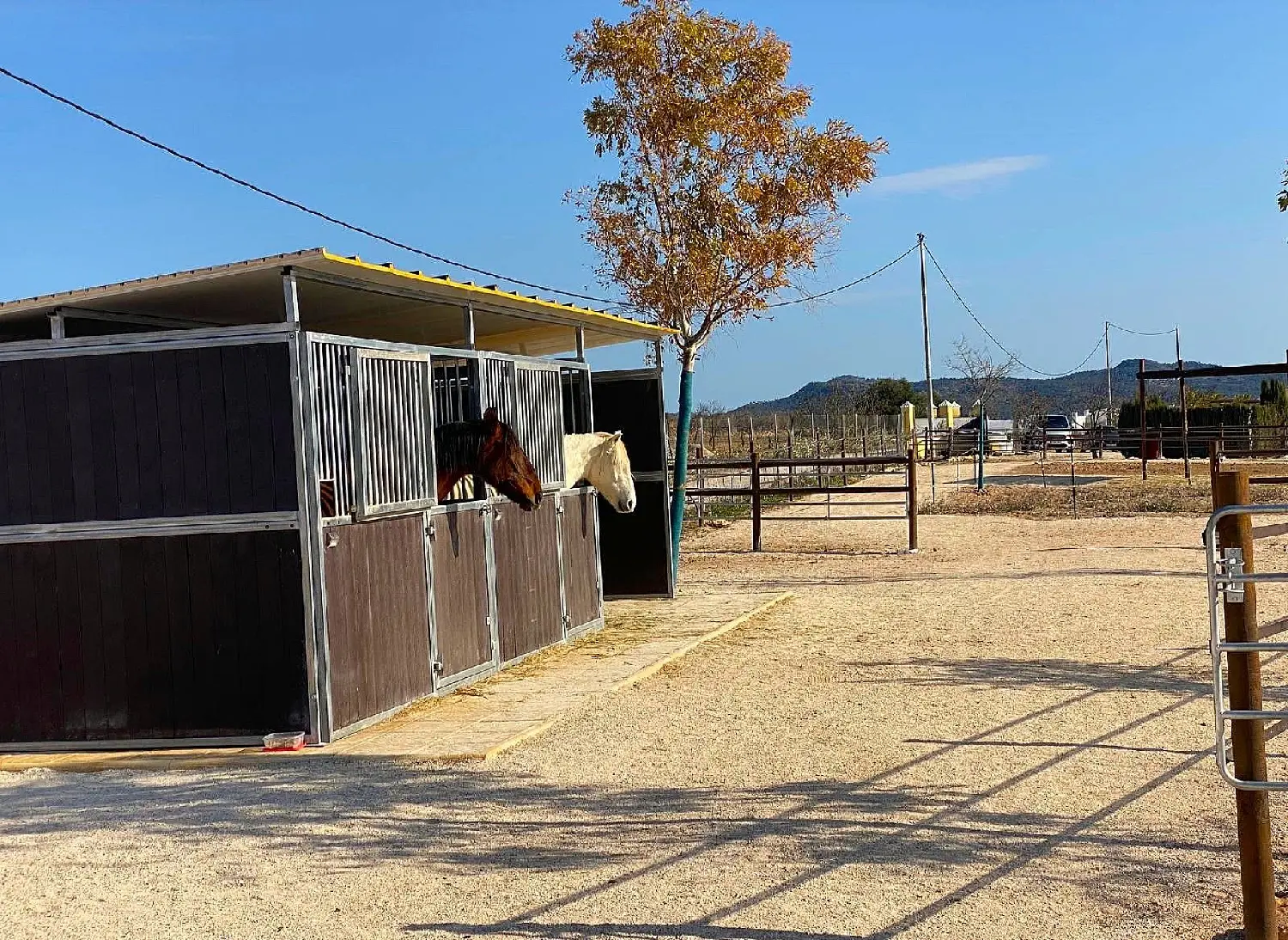 till salu hus på landet Orihuela Baix Segura 11