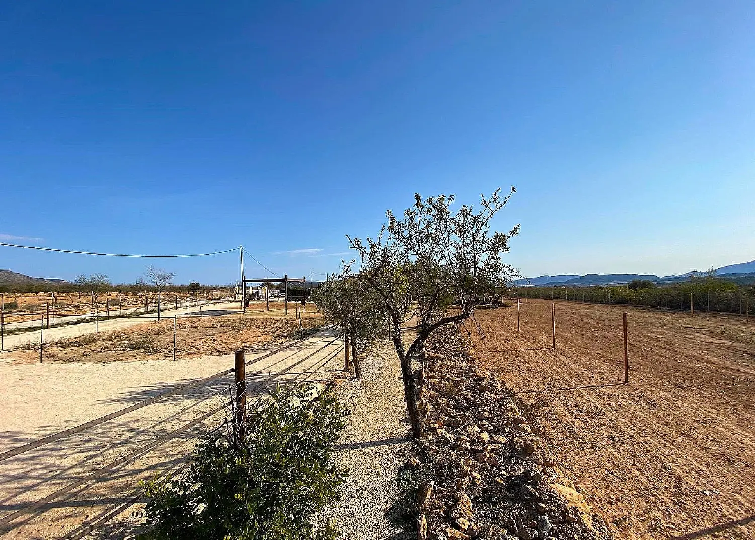  till salu hus på landet Orihuela Baix Segura 19