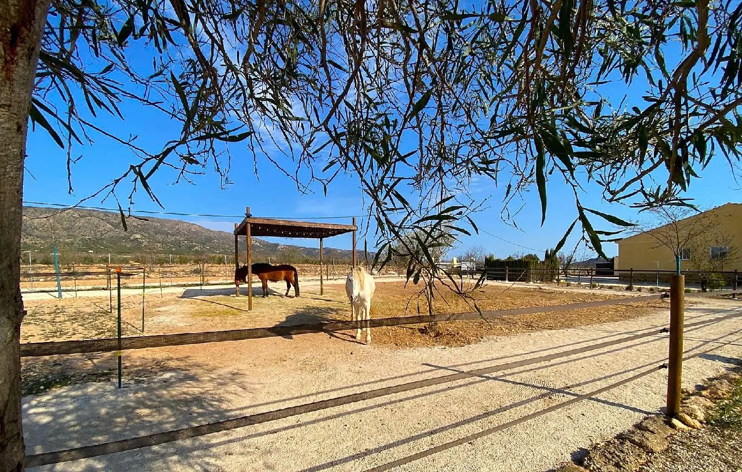 till salu hus på landet Orihuela Baix Segura 2