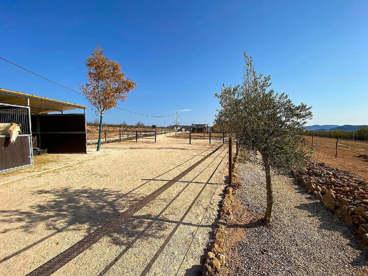  till salu hus på landet Orihuela Baix Segura 12