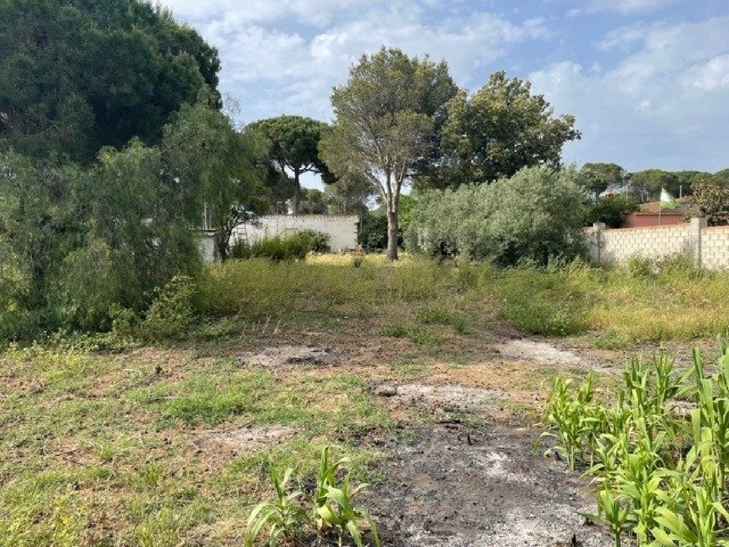 till salu hus på landet Las Veguetas Bahía De Cádiz 3