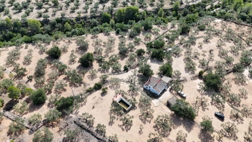 Ligallo Del Roig Baix Ebre hus på landet foto 6257187