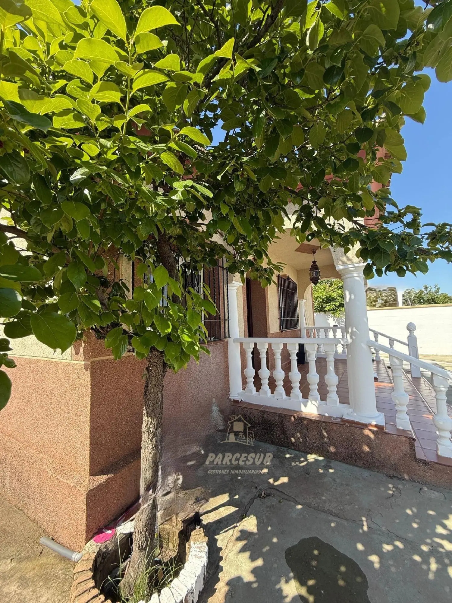  till salu hus på landet Llanos Del Castillo Córdoba 4