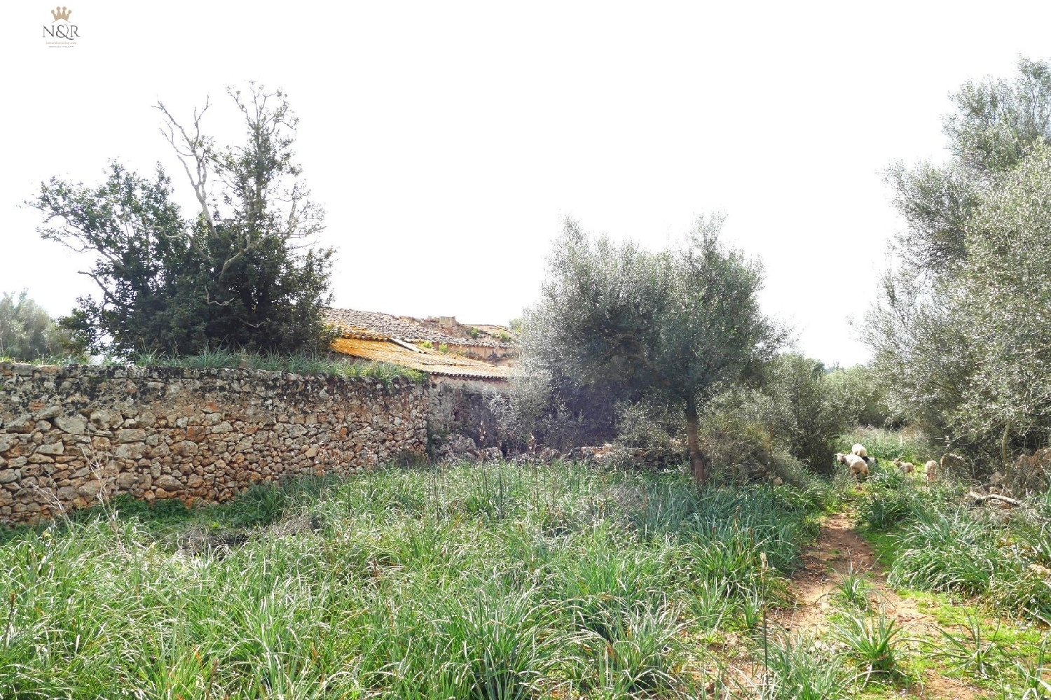  te koop boerderij Llubí Pla (Es) 8