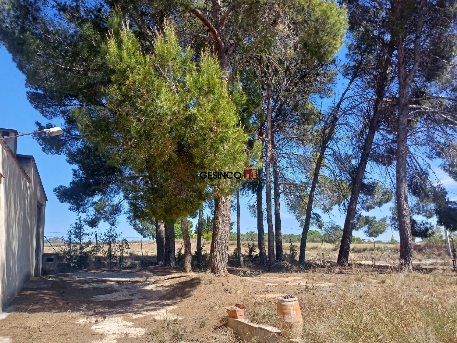  till salu hus på landet L'olleria Vall D'albaida 4