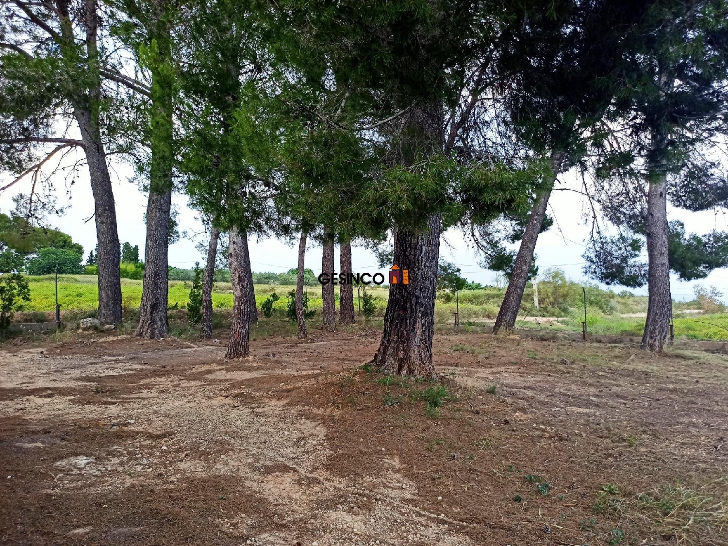  till salu hus på landet L'olleria Vall D'albaida 6