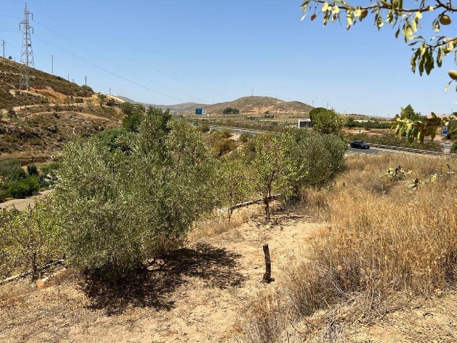  en venta finca rústica Armilla Vega De Granada 8