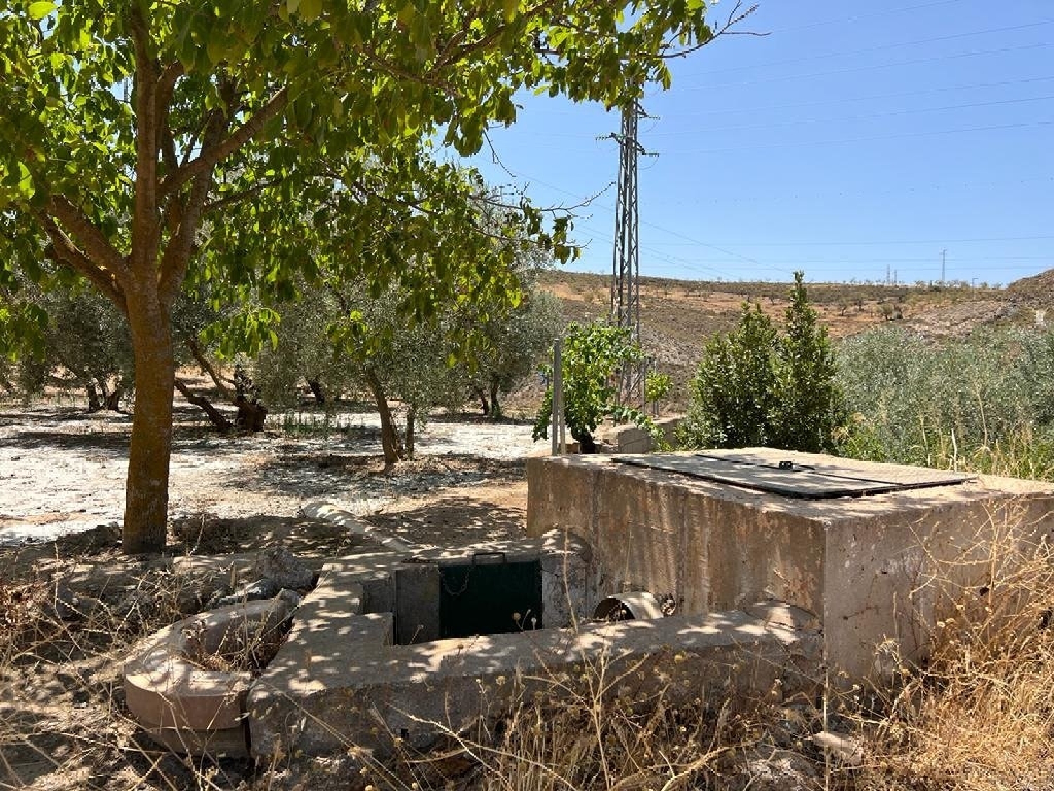  en venta finca rústica Armilla Vega De Granada 6