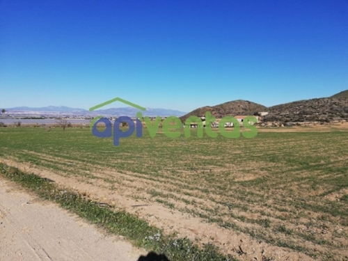 Los Jordanes Y Romeras Alto Guadalentín hus på landet foto 6234412