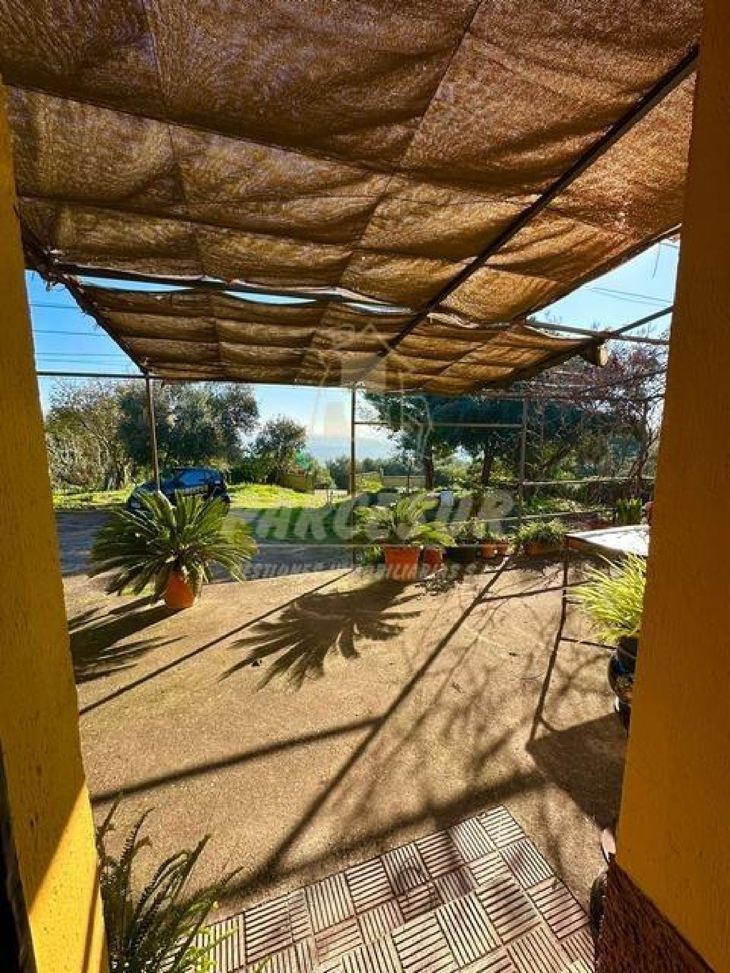  till salu hus på landet Los Llanos Valle Medio Del Guadalquivir 5