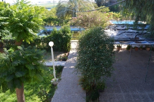 Los Martínez Del Puerto Huerta De Murcia hus på landet foto 6258779