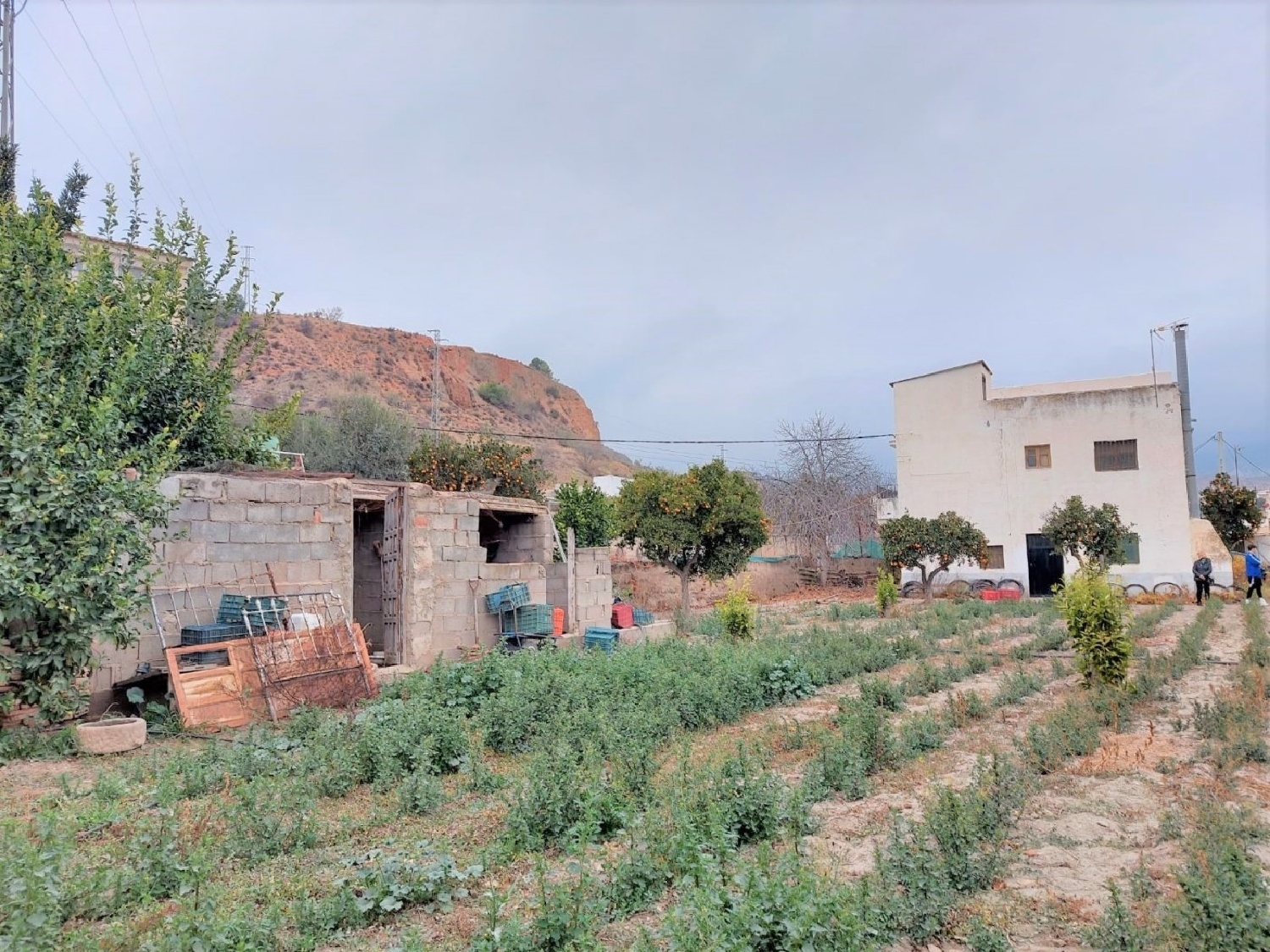  till salu hus på landet Los Montoros Alpujarra Granadina 1