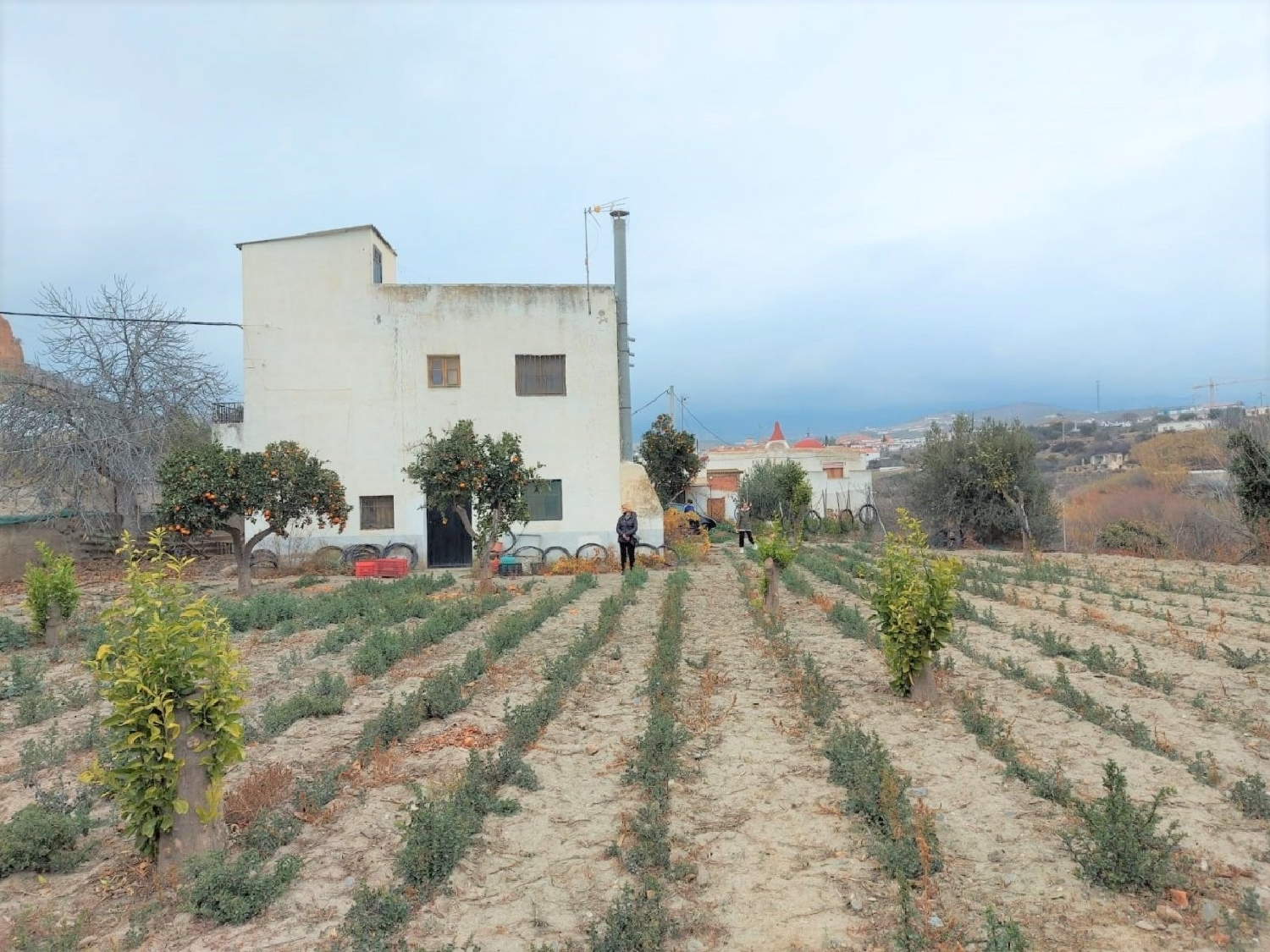  till salu hus på landet Los Montoros Alpujarra Granadina 4