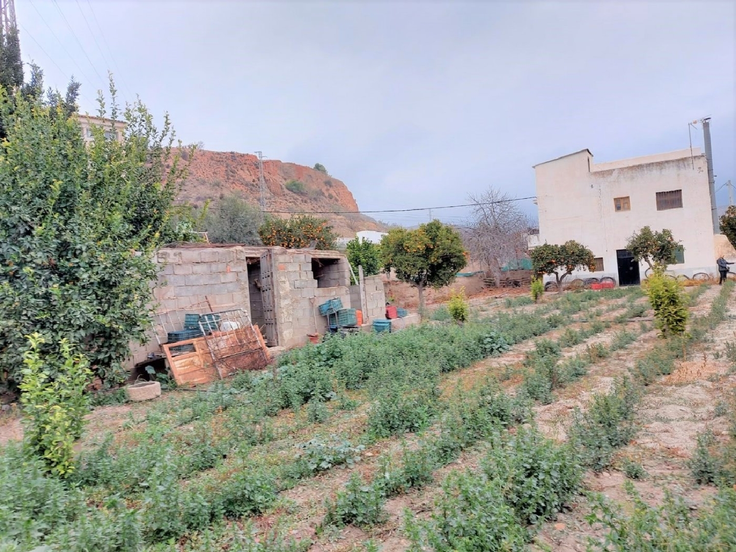 till salu hus på landet Los Montoros Alpujarra Granadina 3