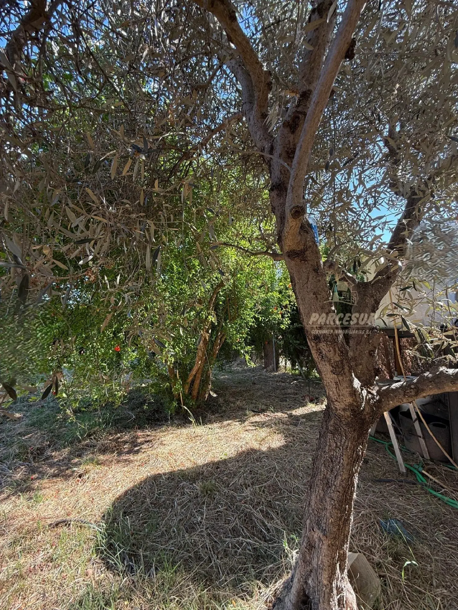  till salu hus på landet Llanos Del Castillo Córdoba 8
