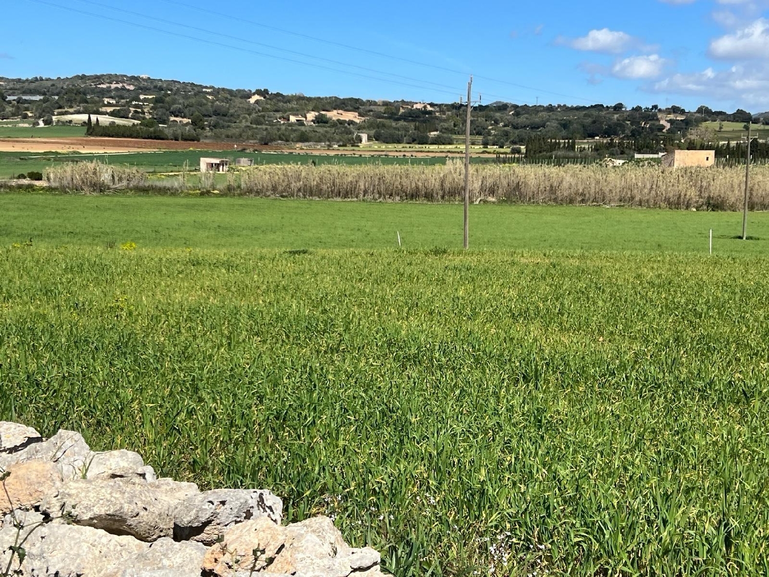  à vendre maison de campagne Manacor Llevant 7