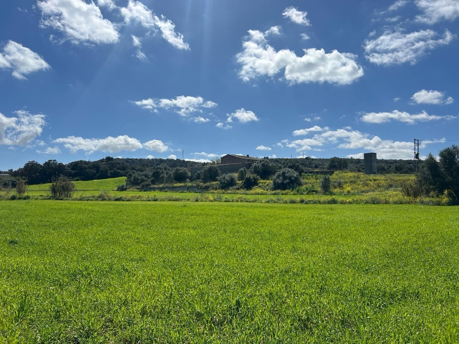  à vendre maison de campagne Manacor Llevant 5