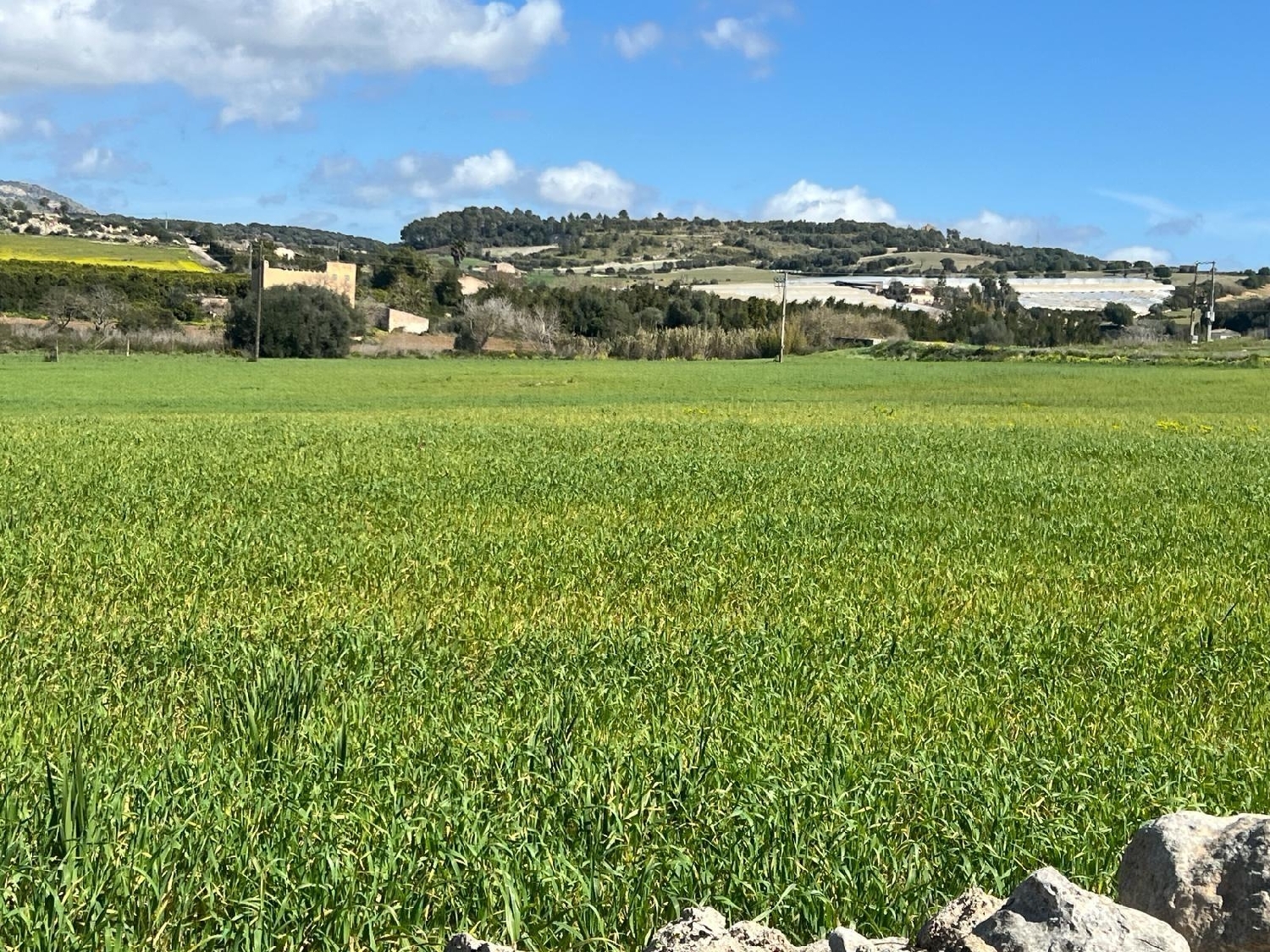  à vendre maison de campagne Manacor Llevant 6