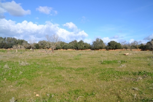 Manacor Llevant hus på landet foto 6240507