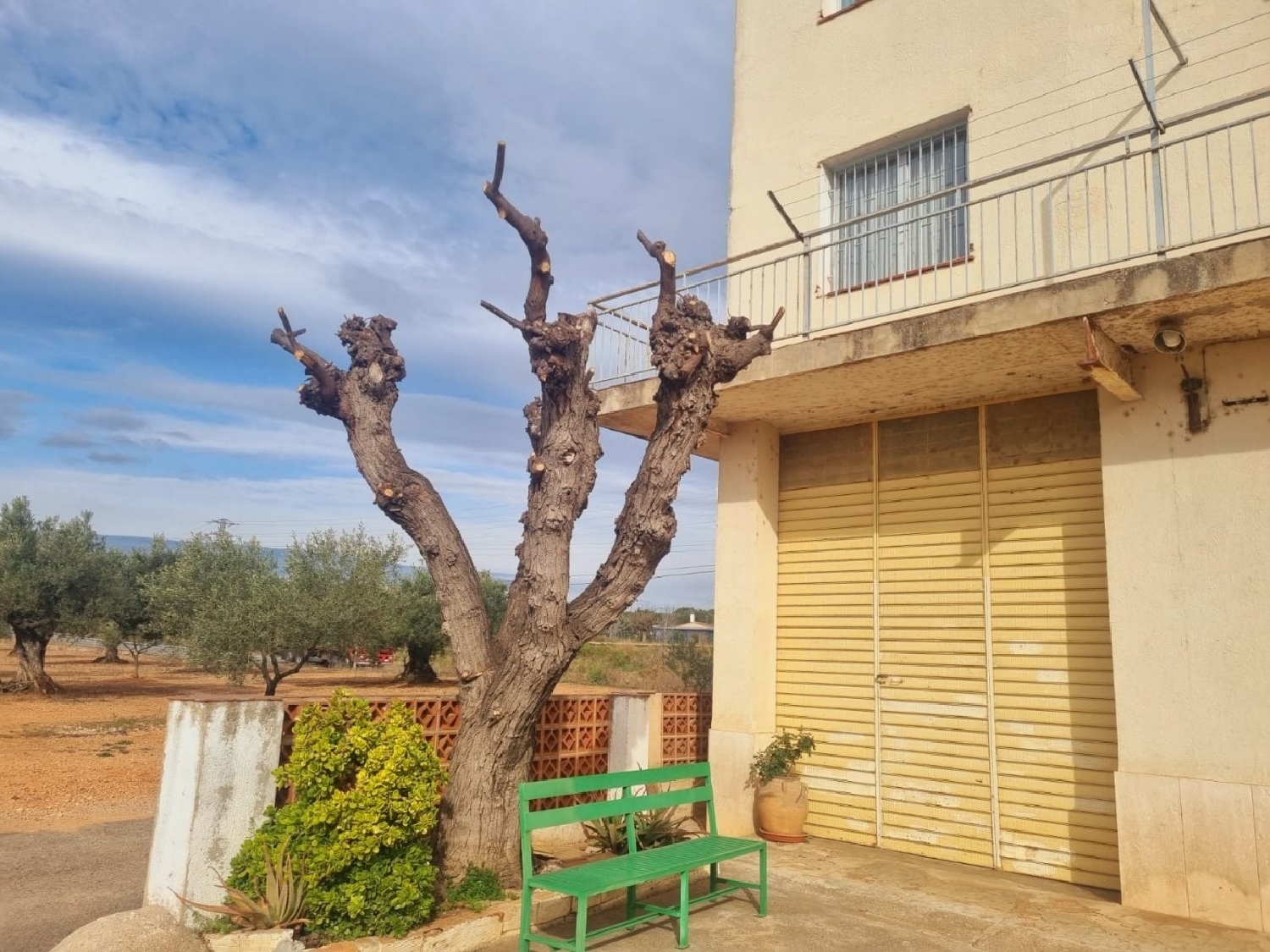 te koop boerderij Masdenverge Montsià 3