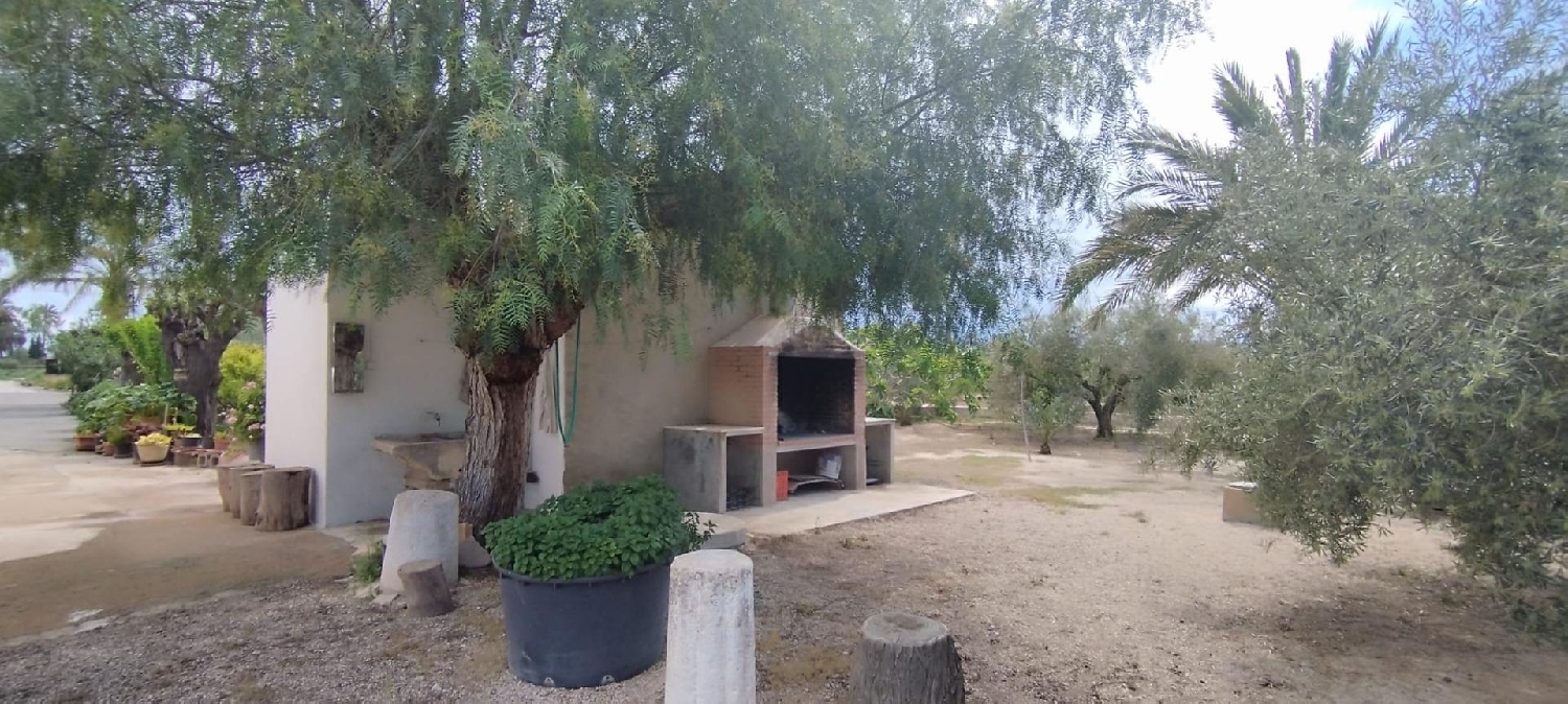  till salu hus på landet Matola Baix Vinalopó 7