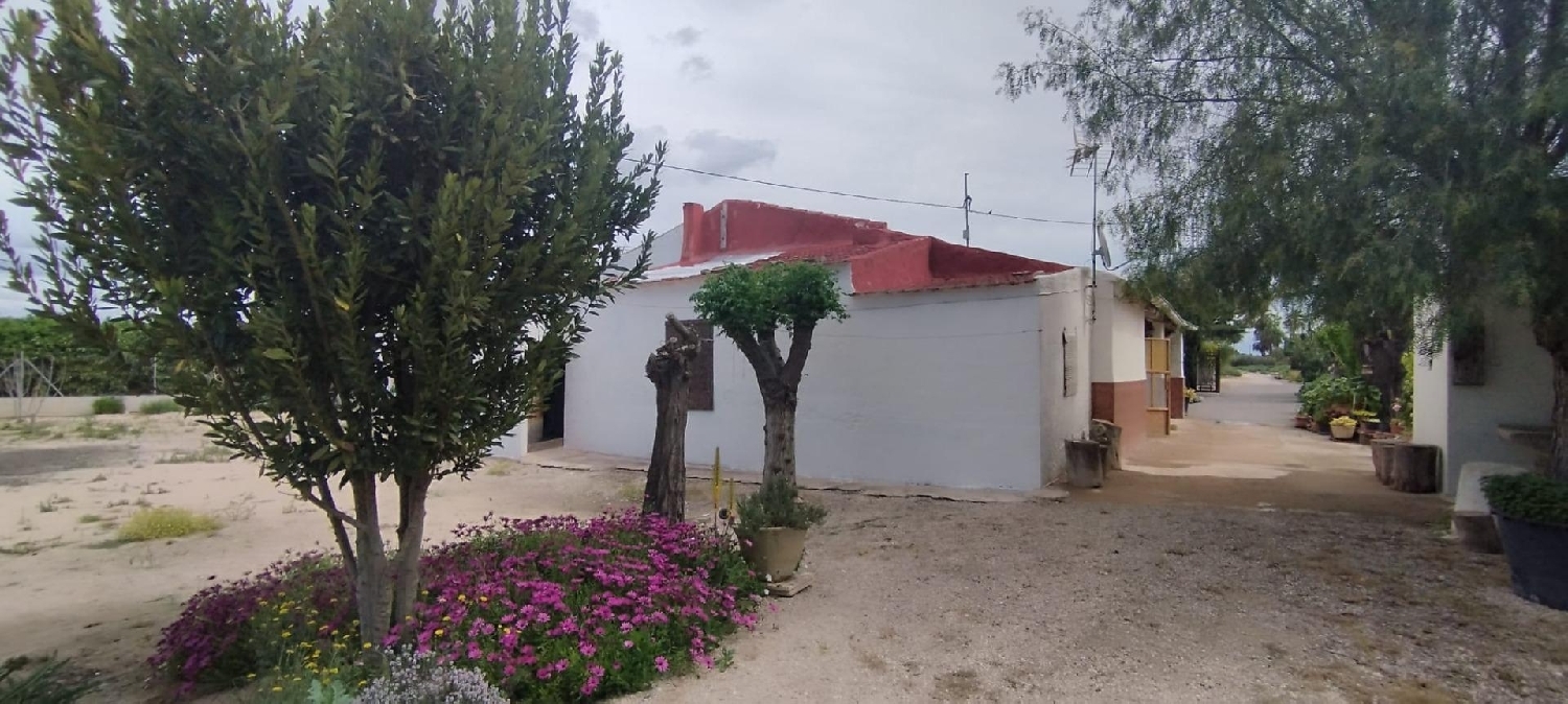  till salu hus på landet Matola Baix Vinalopó 4