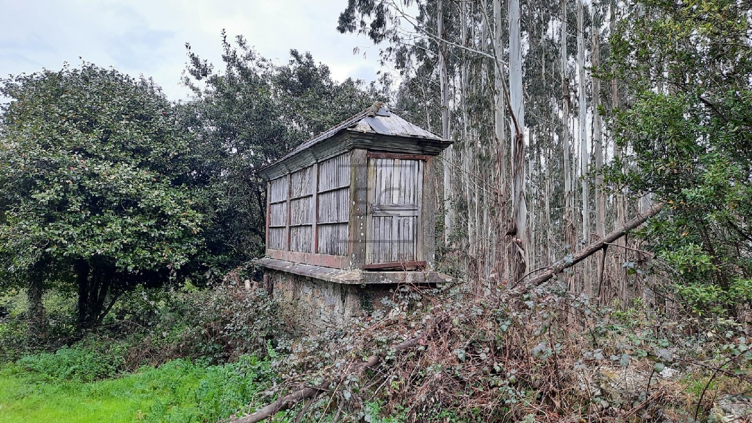  till salu hus på landet Miguelares Ferrol 4