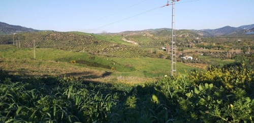 Molino Castro Janda (La) hus på landet foto 6226495