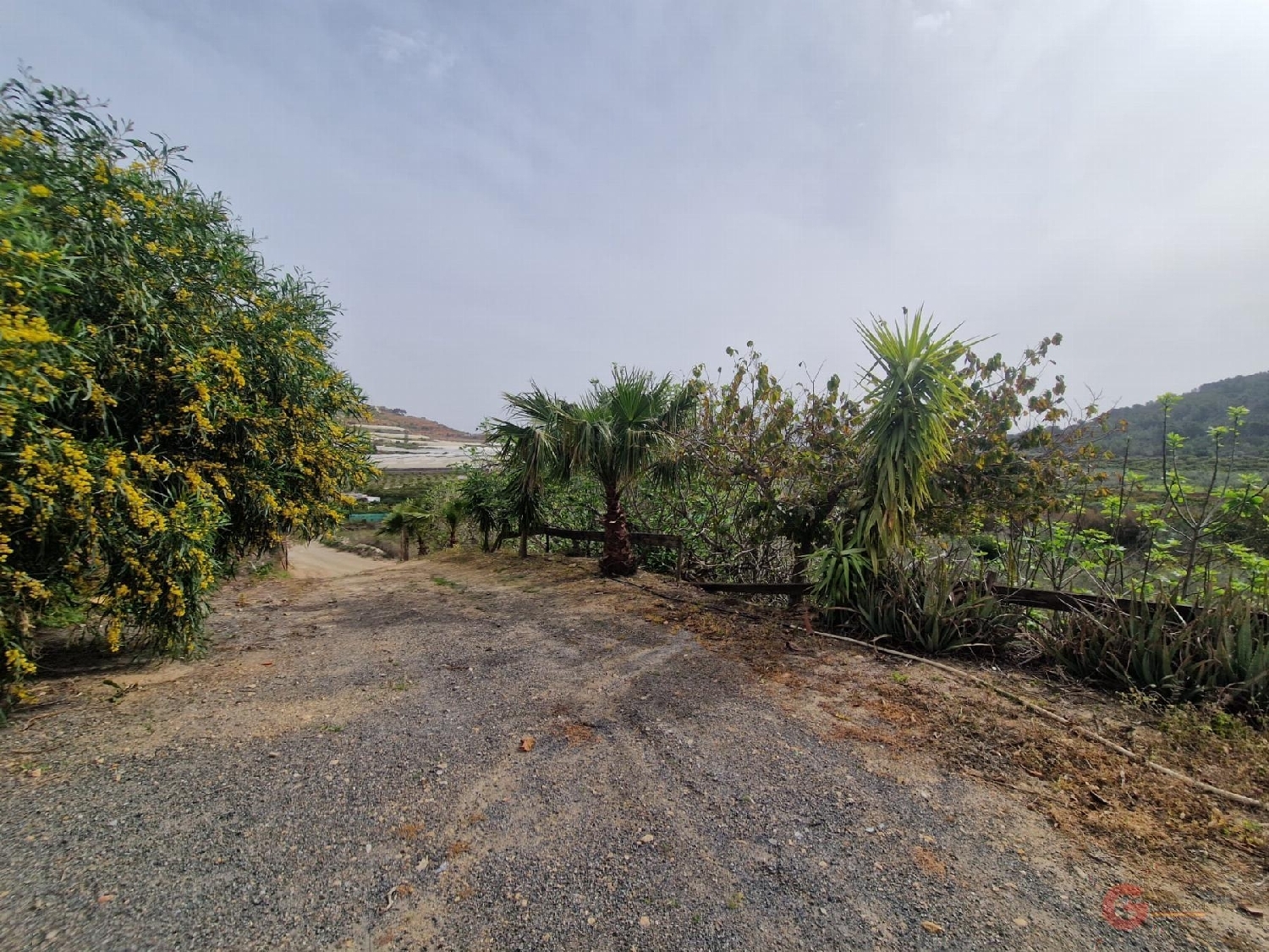  à vendre maison de campagne Molvízar Costa Tropical 6