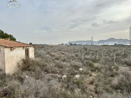 Monforte Del Cid Vinalopó Mitjà hus på landet foto 6190750