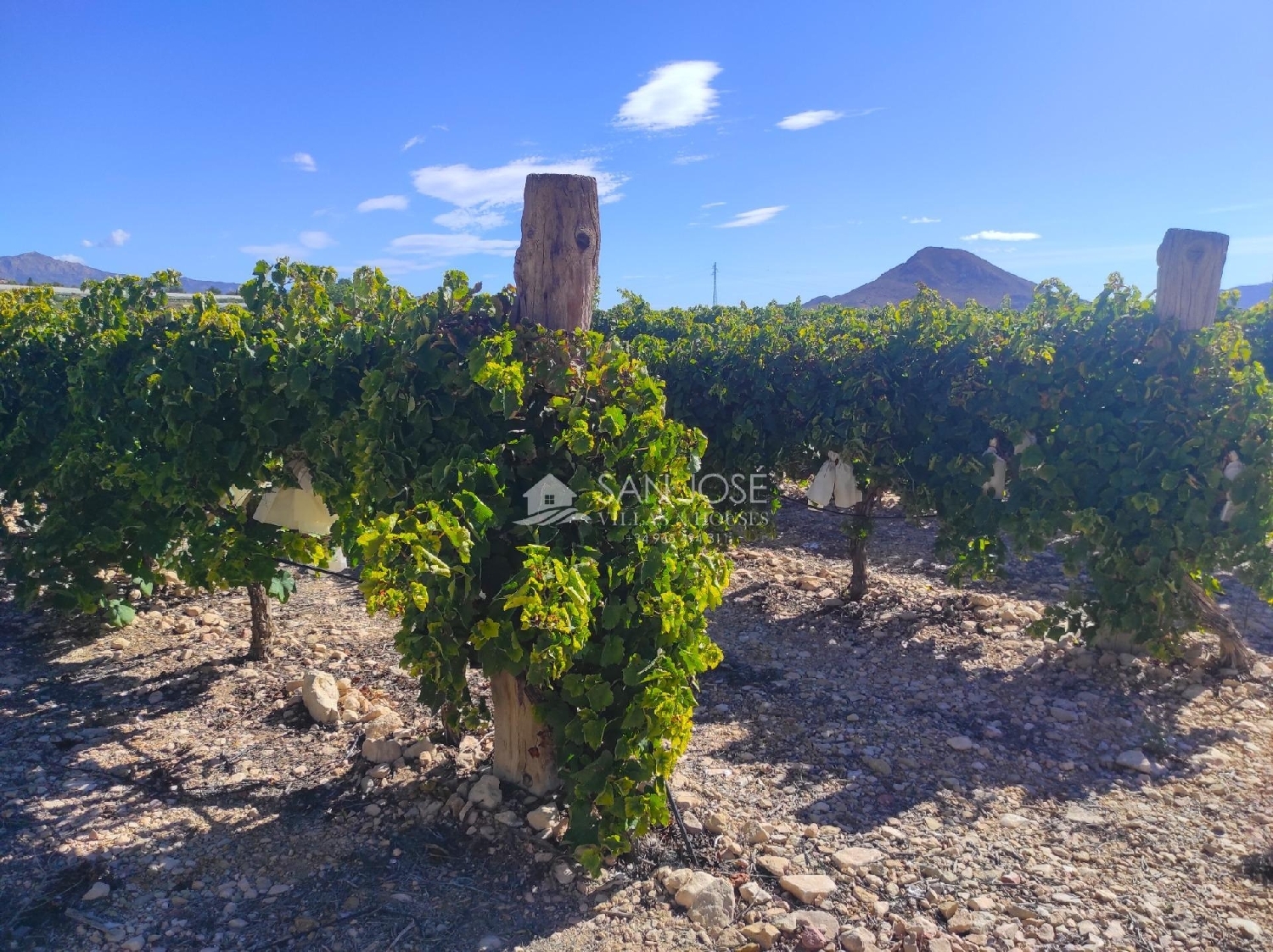  till salu hus på landet Monforte Del Cid Vinalopó Mitjà 7