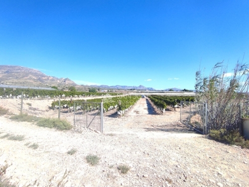 Monforte Del Cid Vinalopó Mitjà hus på landet foto 6227399