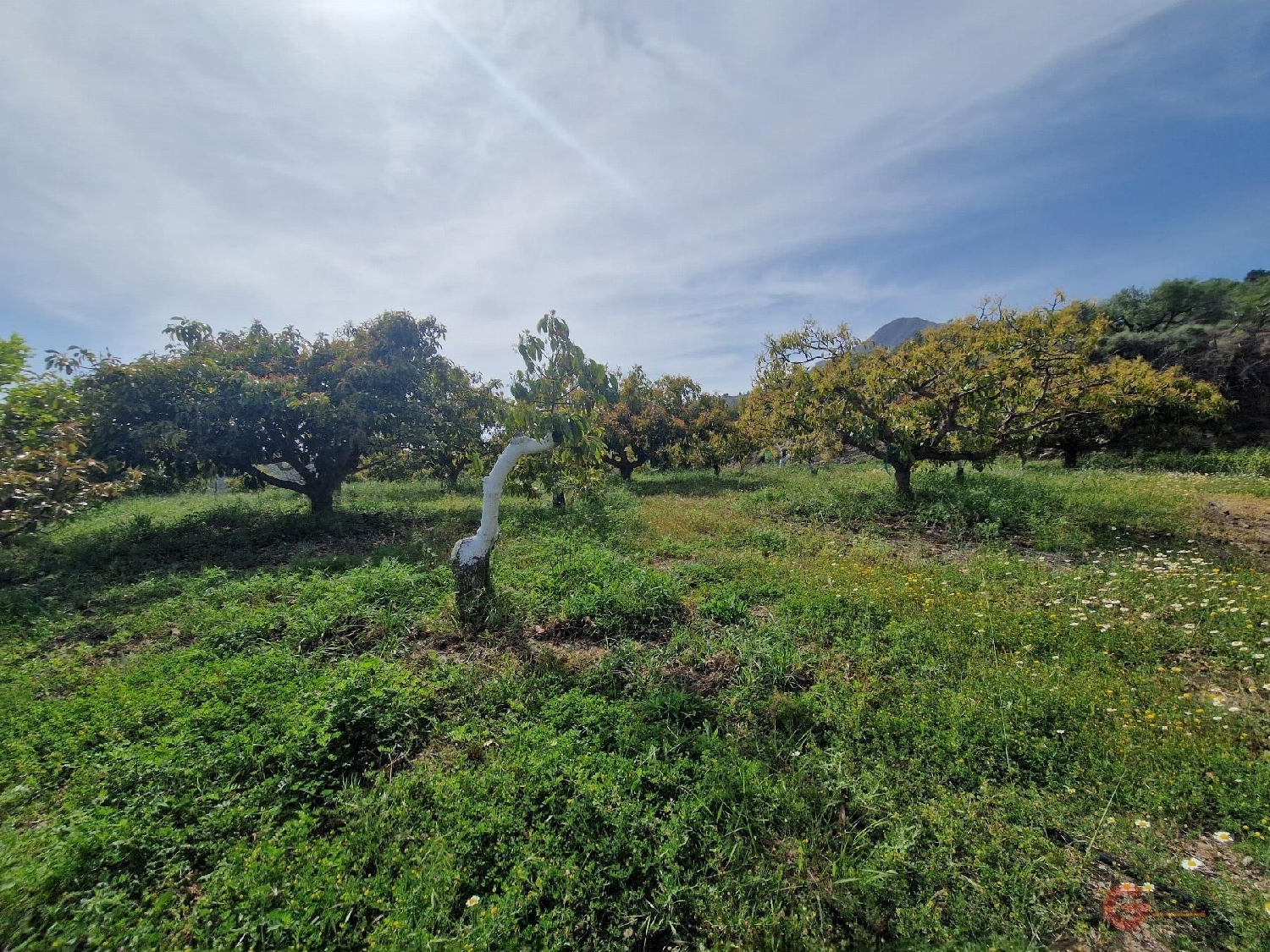  till salu hus på landet Monte De Los Almendros Costa Tropical 4