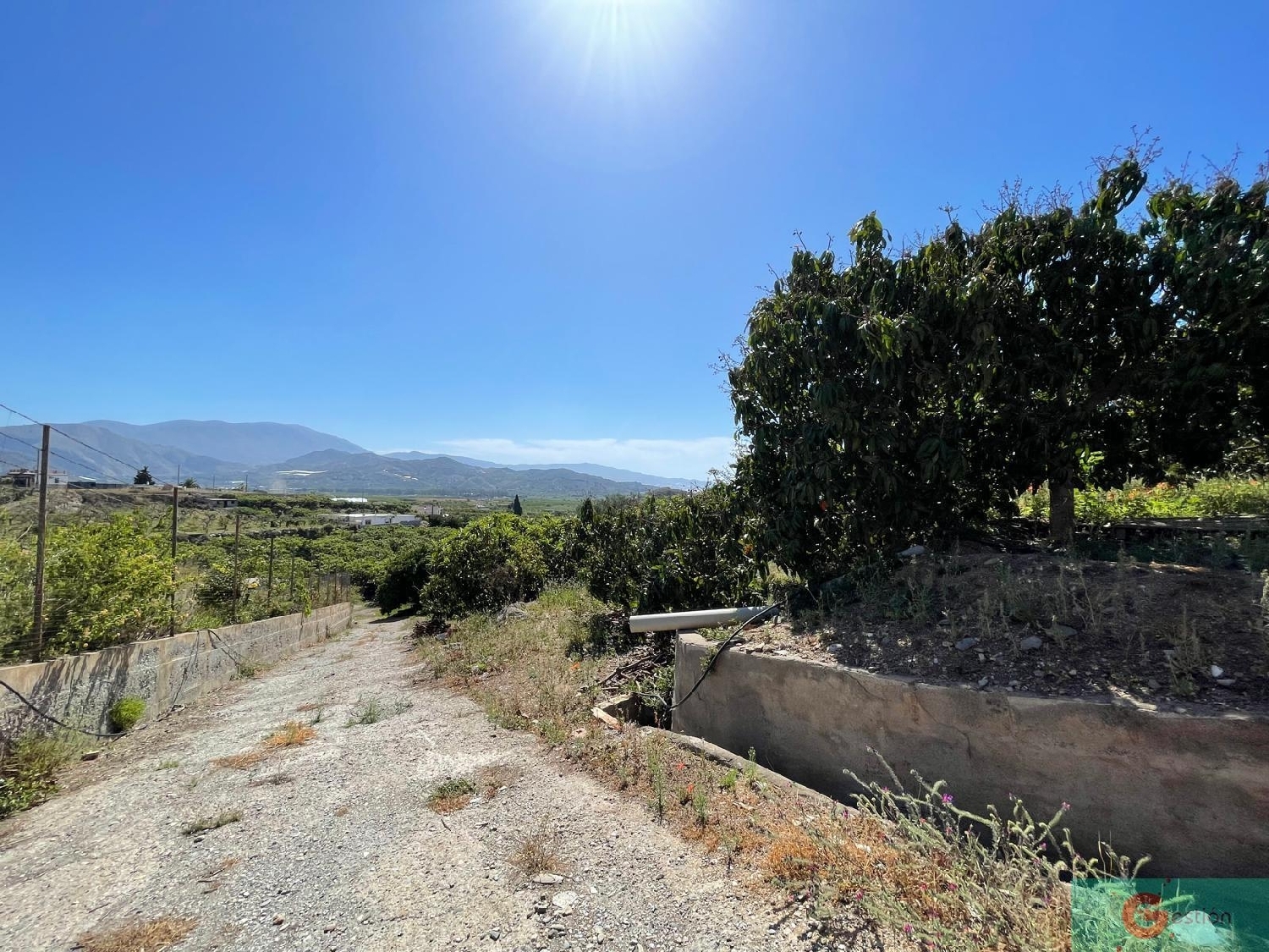till salu hus på landet Monte De Los Almendros Costa Tropical 3