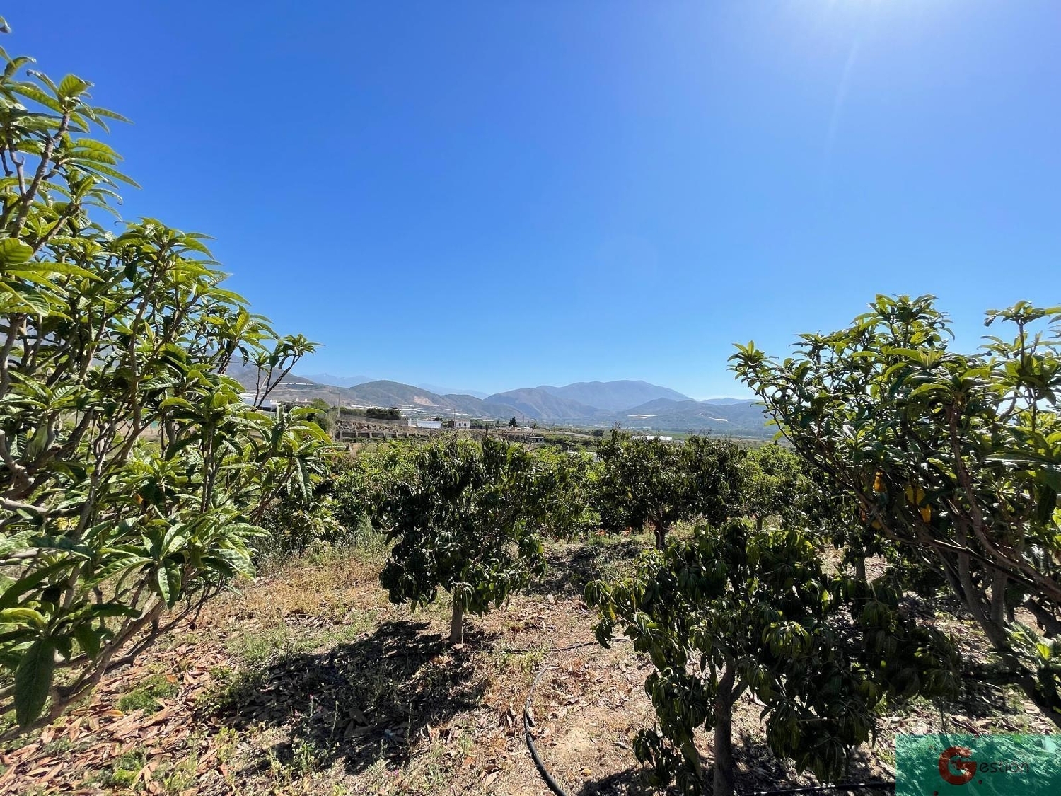  till salu hus på landet Monte De Los Almendros Costa Tropical 1