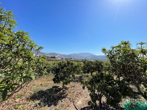 Monte De Los Almendros Costa Tropical hus på landet foto 6250557