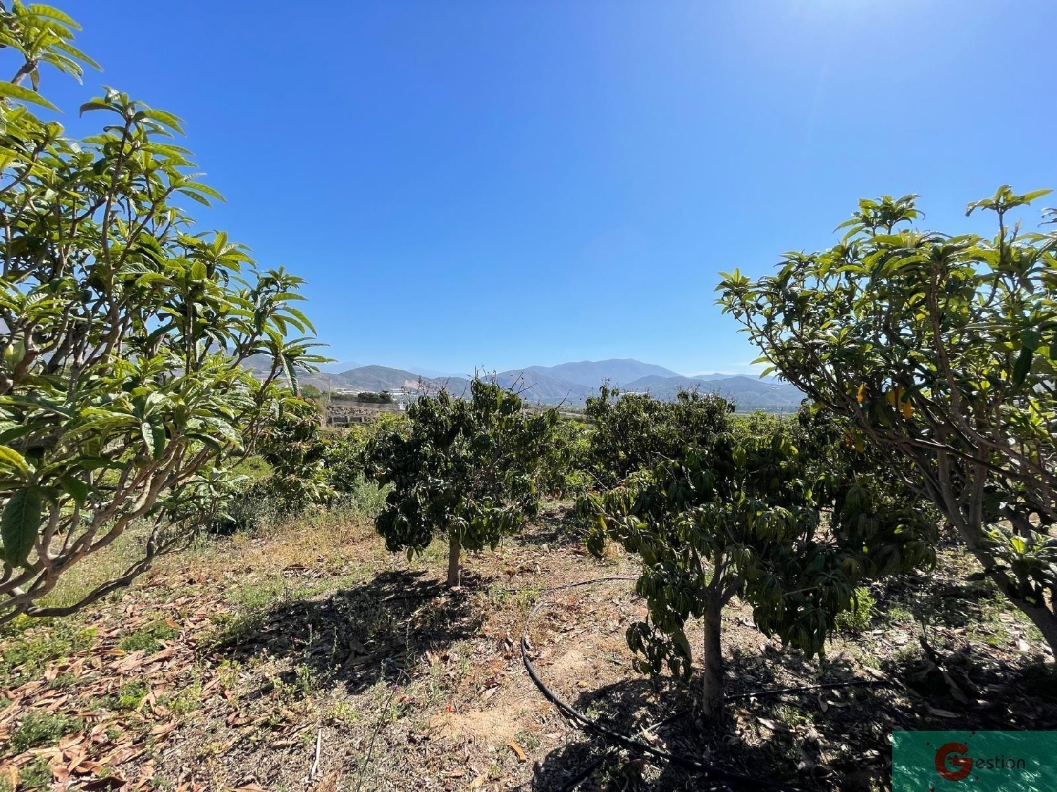  till salu hus på landet Monte De Los Almendros Costa Tropical 6