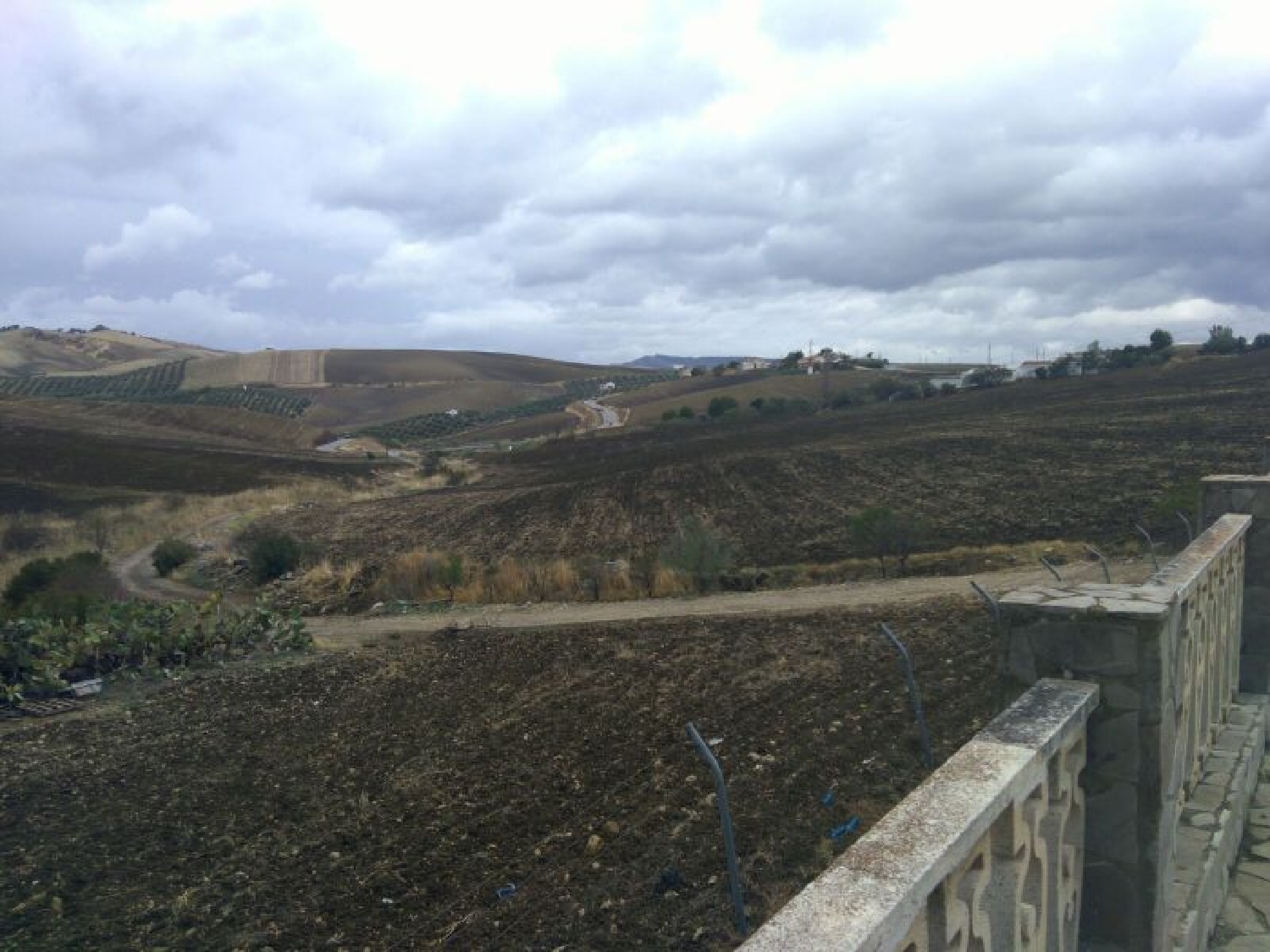  à vendre maison de campagne Montecorto Serranía De Ronda 4