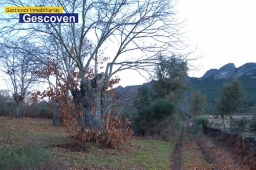 Montehermoso Vega De Alcántara hus på landet foto 6224000