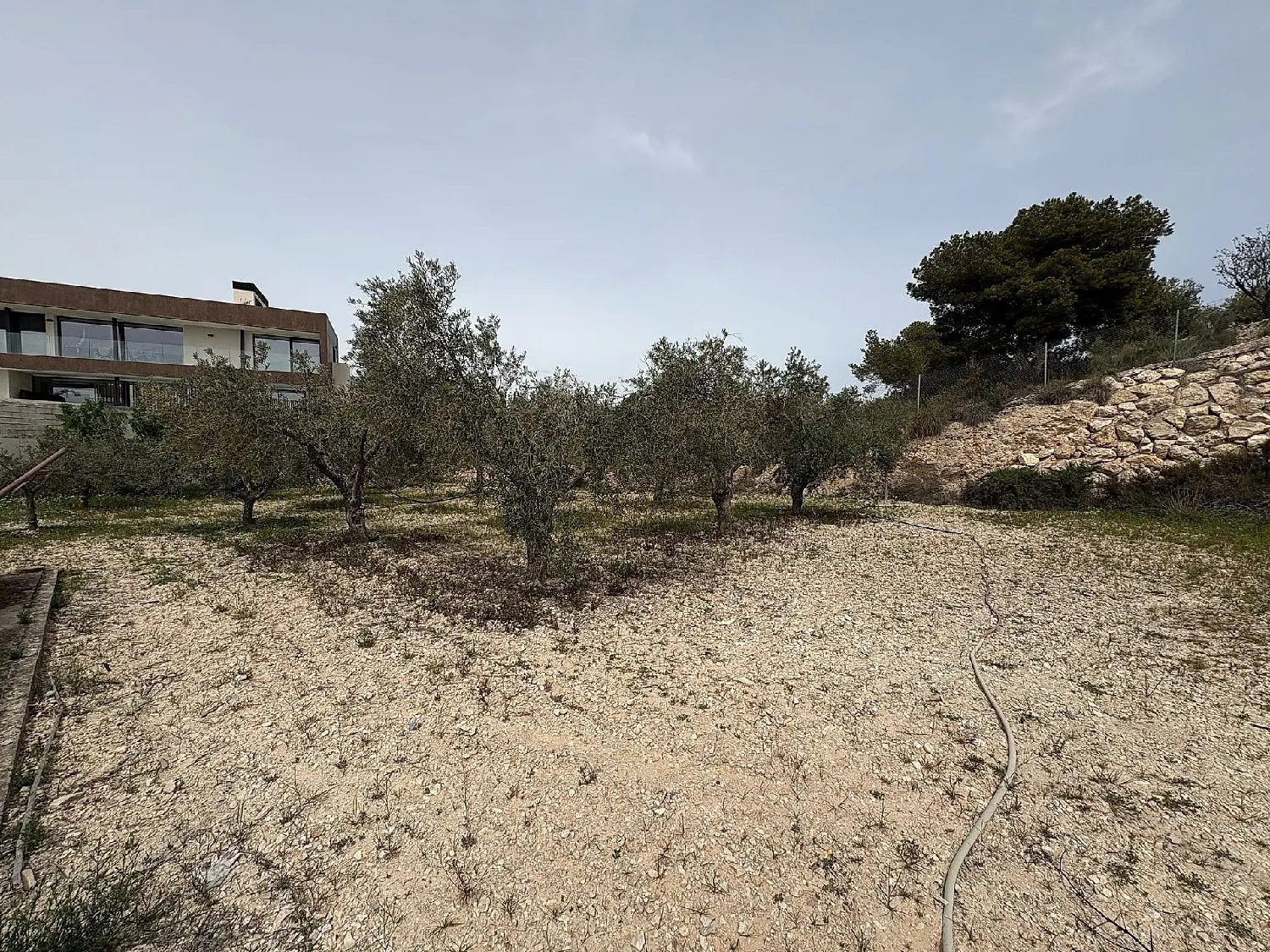  till salu hus på landet Zona Universidad Baix Vinalopó 12
