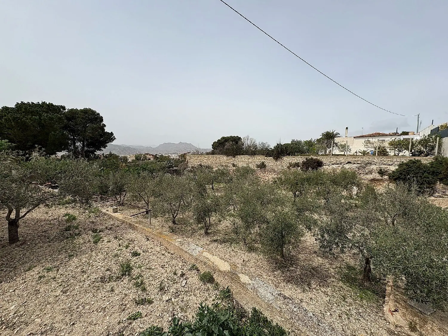  till salu hus på landet Zona Universidad Baix Vinalopó 13