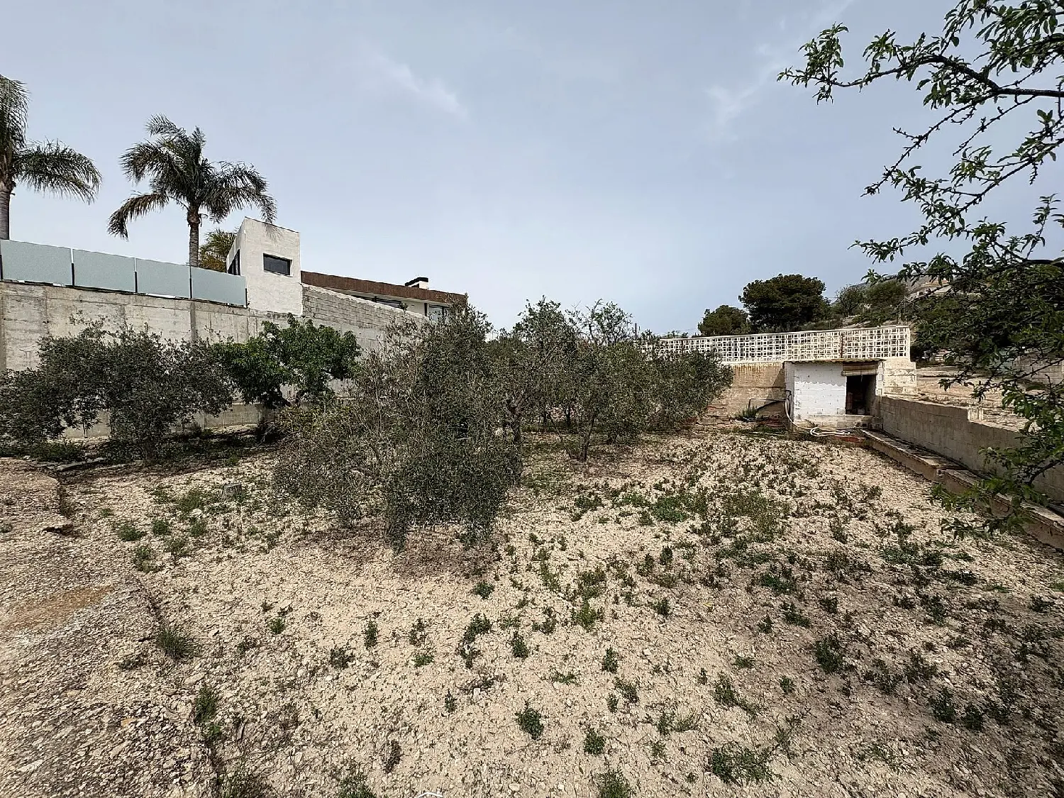  till salu hus på landet Zona Universidad Baix Vinalopó 10