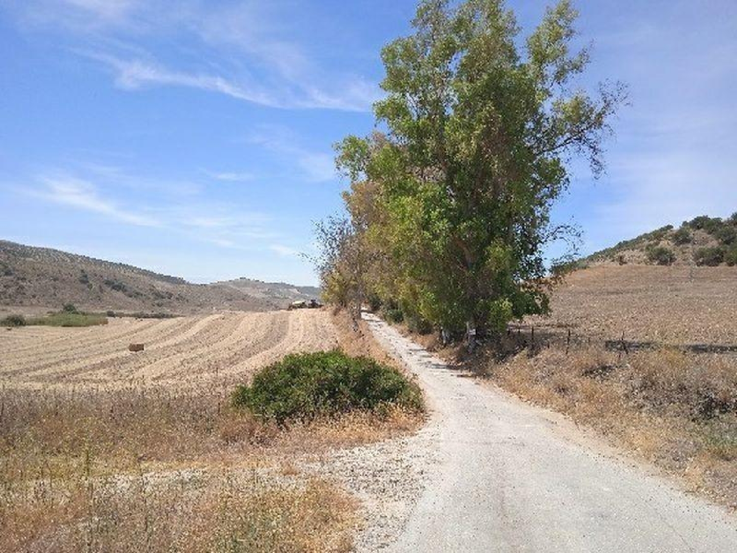  till salu hus på landet Morón De La Frontera Campiña De Morón Y Marchena 6