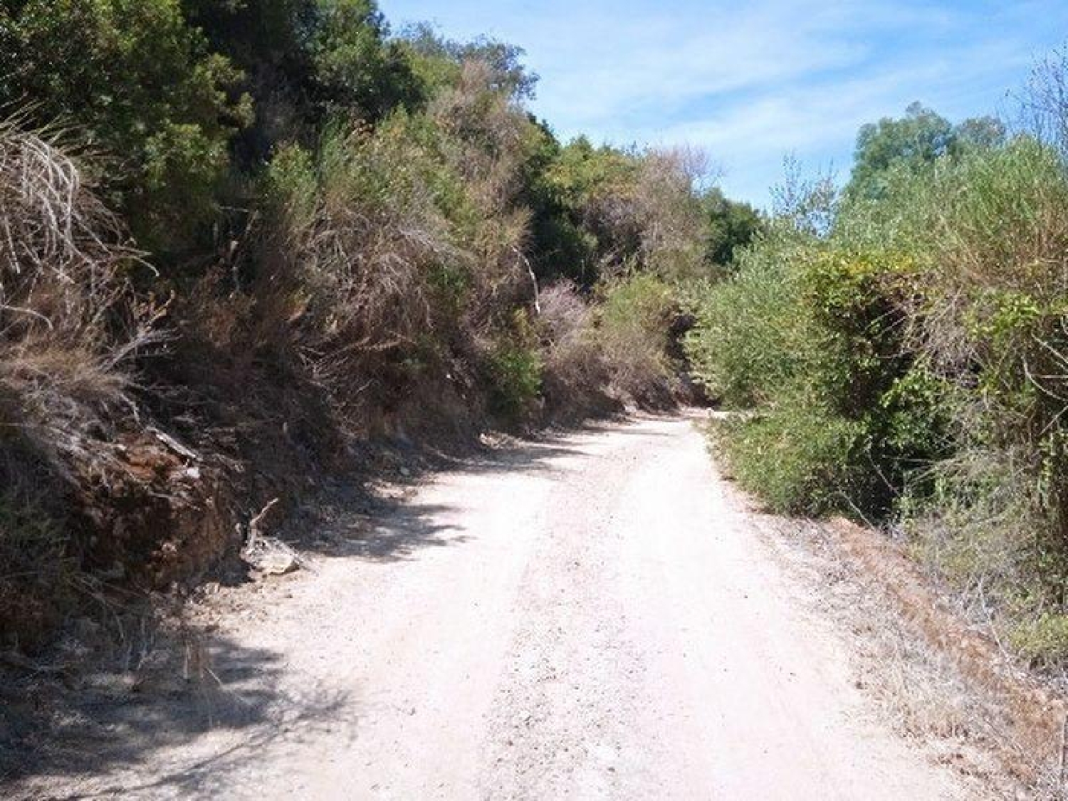  till salu hus på landet Morón De La Frontera Campiña De Morón Y Marchena 5