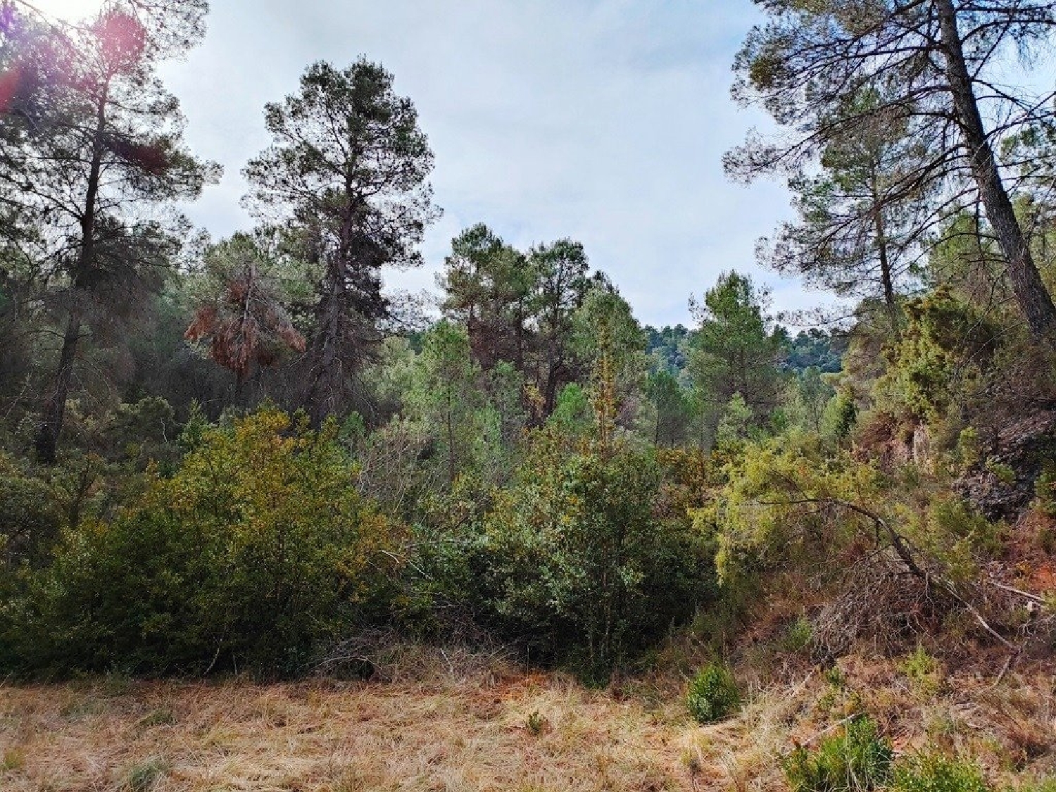  till salu hus på landet Mosqueruela Gúdar-Javalambre 6