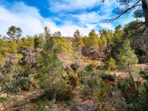Mosqueruela Gúdar-Javalambre hus på landet foto 6253079