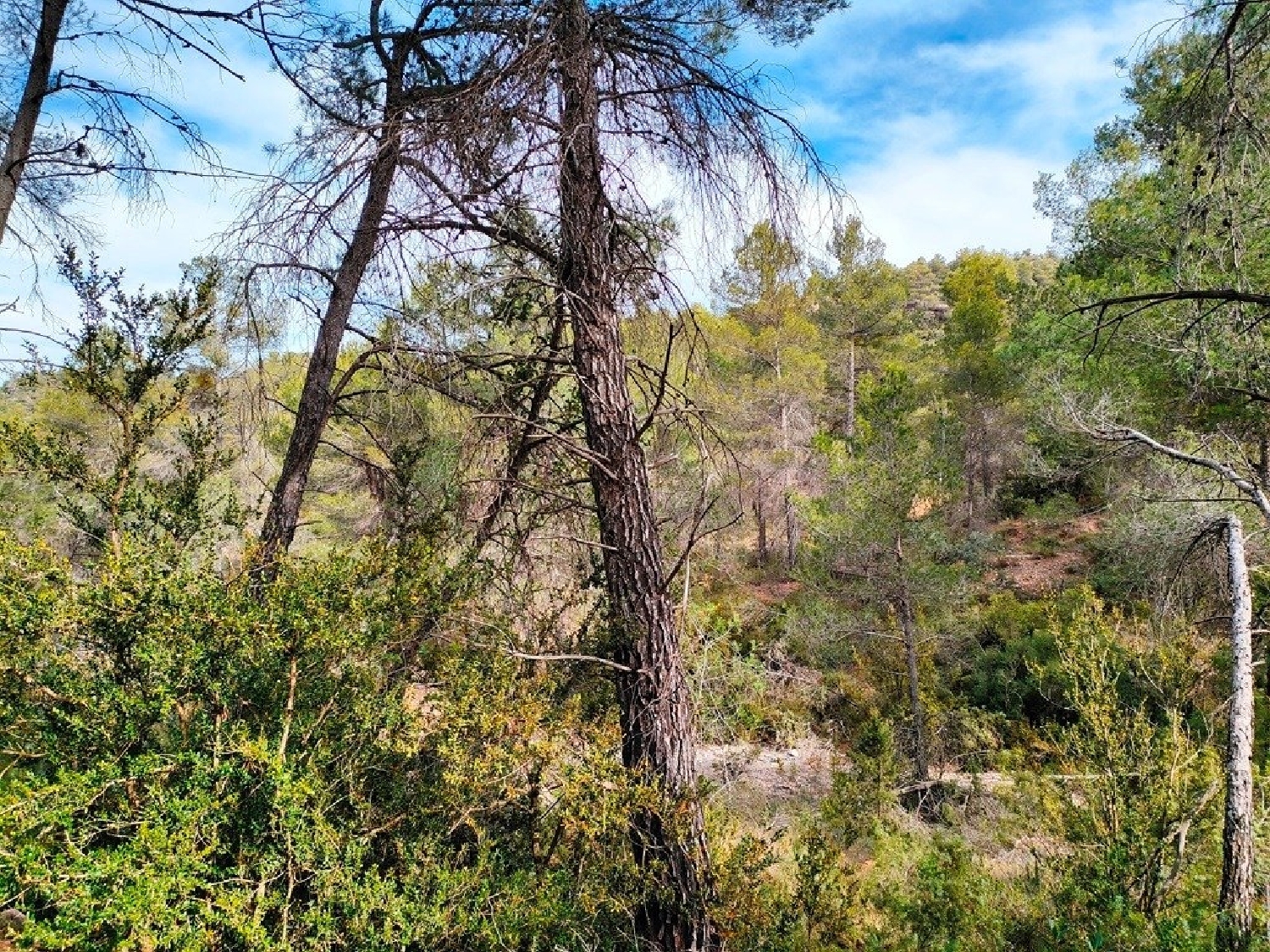  till salu hus på landet Mosqueruela Gúdar-Javalambre 4
