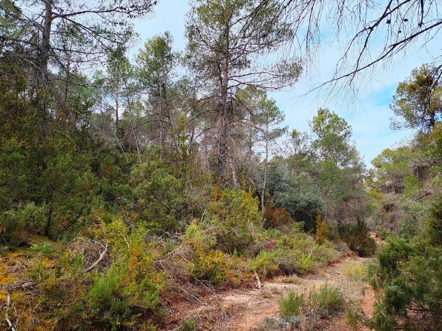  till salu hus på landet Mosqueruela Gúdar-Javalambre 5