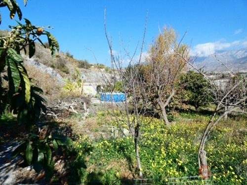 Motril Costa Tropical hus på landet foto 6255322