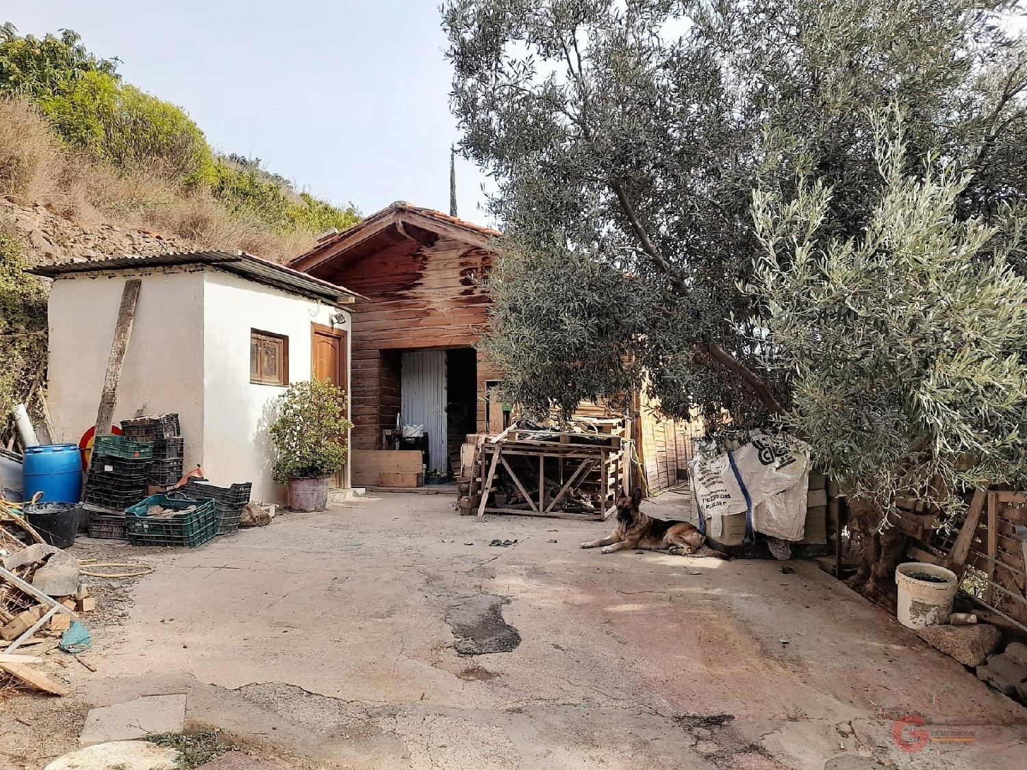  till salu hus på landet Motril Costa Tropical 5